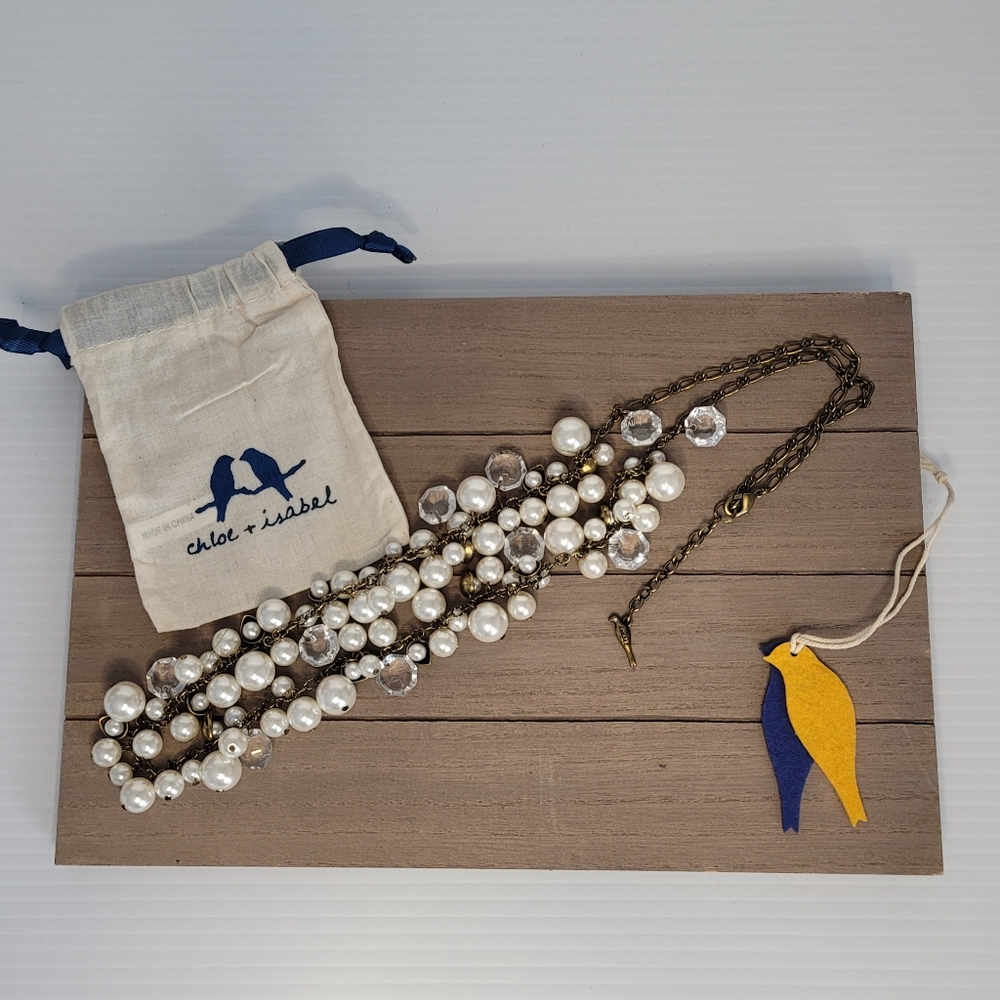 Long Beaded Chloe + Isabel Necklace